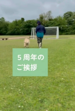 【sotoeガーデン設計室5周年】