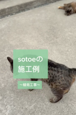 【植栽工事】暮らしの変化に合わせて、外構も育てていく🌳